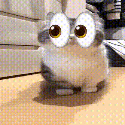 bro
